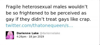 The image is a screenshot of a tweet posted by Darienne Lake, with the Twitter handle @dariennelake, at 4:26 pm on 18 Jan 2019. The tweet reads: "Fragile heterosexual males wouldn't be so frightened to be perceived as gay if they didn't treat gays like crap." Below the tweet text, there is a link to a Twitter page "twitter.com/thatonequeen/s..." The profile picture next to the name "Darienne Lake" shows a stylized representation of a person, which may have pink or purple hair, against a pink background.