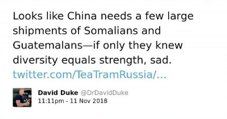 The image is a screenshot of a tweet posted by David Duke (@DrDavidDuke) at 11:11 pm on 11 Nov 2018. The tweet contains text suggesting that China would benefit from "large shipments of Somalians and Guatemalans," implying that diversity is equivalent to strength, followed by the word "sad." The tweet also includes a link to another Twitter account, twitter.com/TeaTramRussia. There is a small profile image of a man next to the name and Twitter handle.