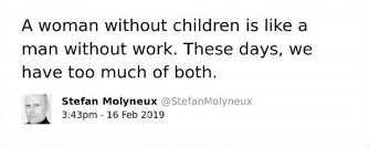 The image is a screenshot of a tweet by Stefan Molyneux, with the username @StefanMolyneux, posted at 3:43 PM on 16 Feb 2019. The tweet reads: "A woman without children is like a man without work. These days, we have too much of both."